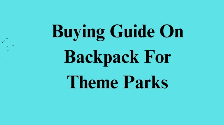 Buying Guide On Backpack For Theme Parks